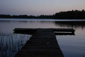 Galeria 11